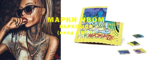 прущие грибы Алексин