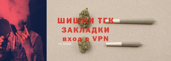 прущие грибы Алексин