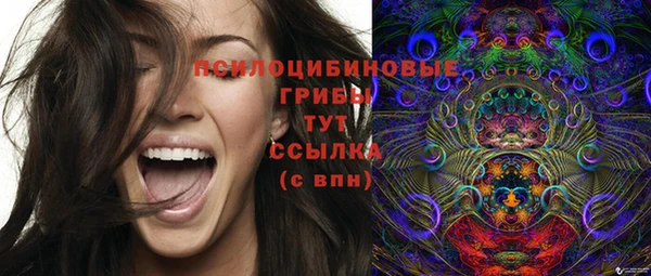 прущие грибы Алексин