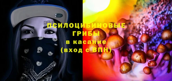 прущие грибы Алексин